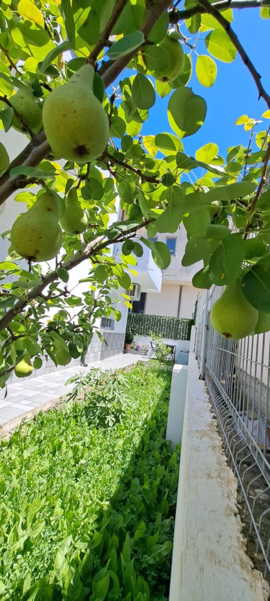 Villa Likaj Berat Rum bild